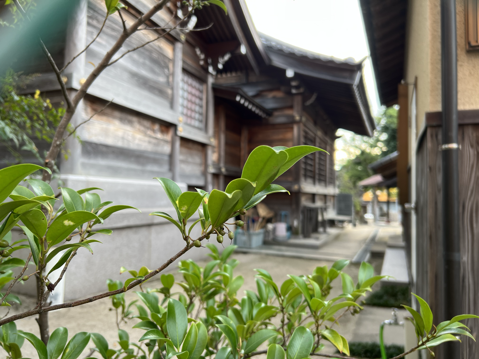 祭りの終わりを迎えた境内の風景