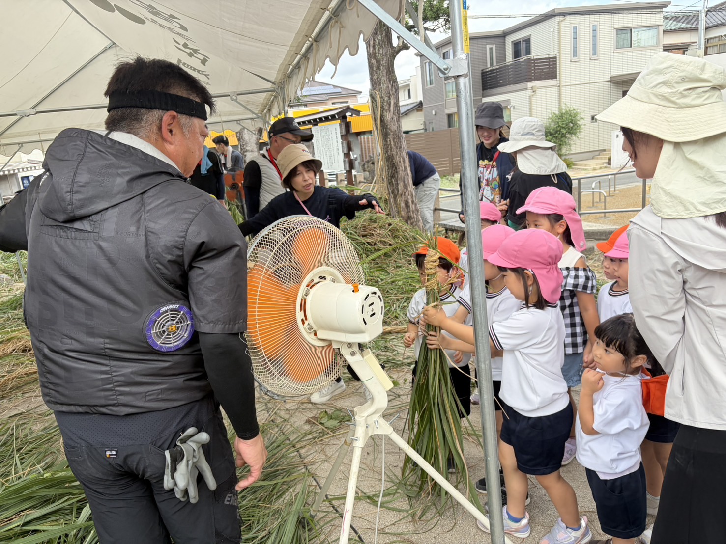 大人に教えてもらいながらカヤに触れる保育園児