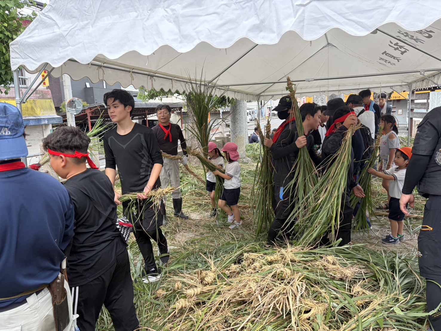 多くの地域住民が盆綱づくりに携わる様子